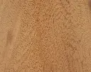 DT30099 (1).webp