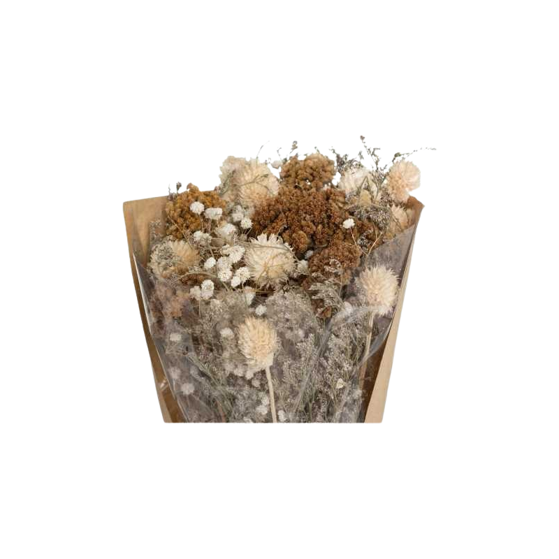 fleurs-sechees-3