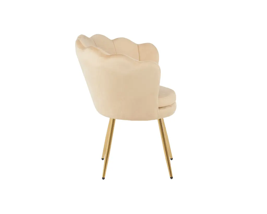 DC1197 HCD-5 (4).webp