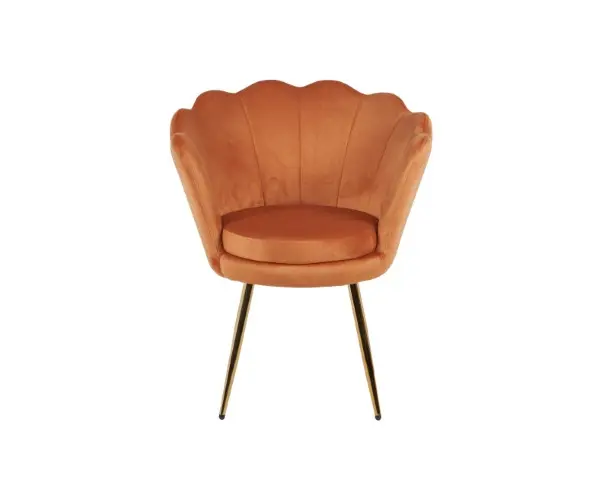 DC1197 HCD-24 (2).webp