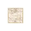 [CVAL250912-05] Lot de 20 serviette 33_33 cm - _NAHIM_.webp