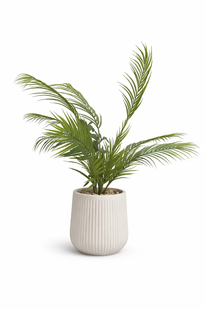 66997bc6-a86c-4e93-bde3-a5d37cba1367 (1).webp