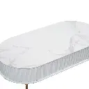 ZH-C1260CT  -1.webp