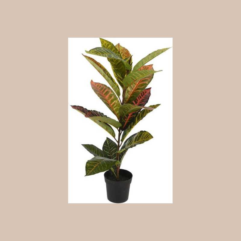plantes-en-pot
