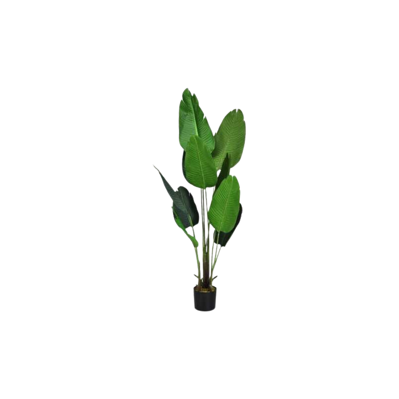 plantes-en-pot