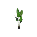 plantes-en-pot