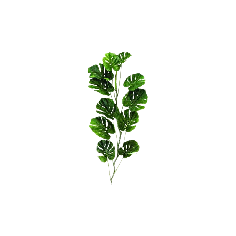 plantes-en-pot