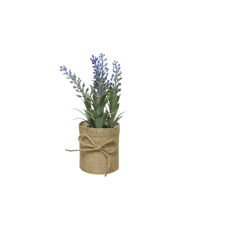 fleurs