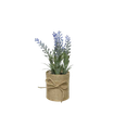 fleurs