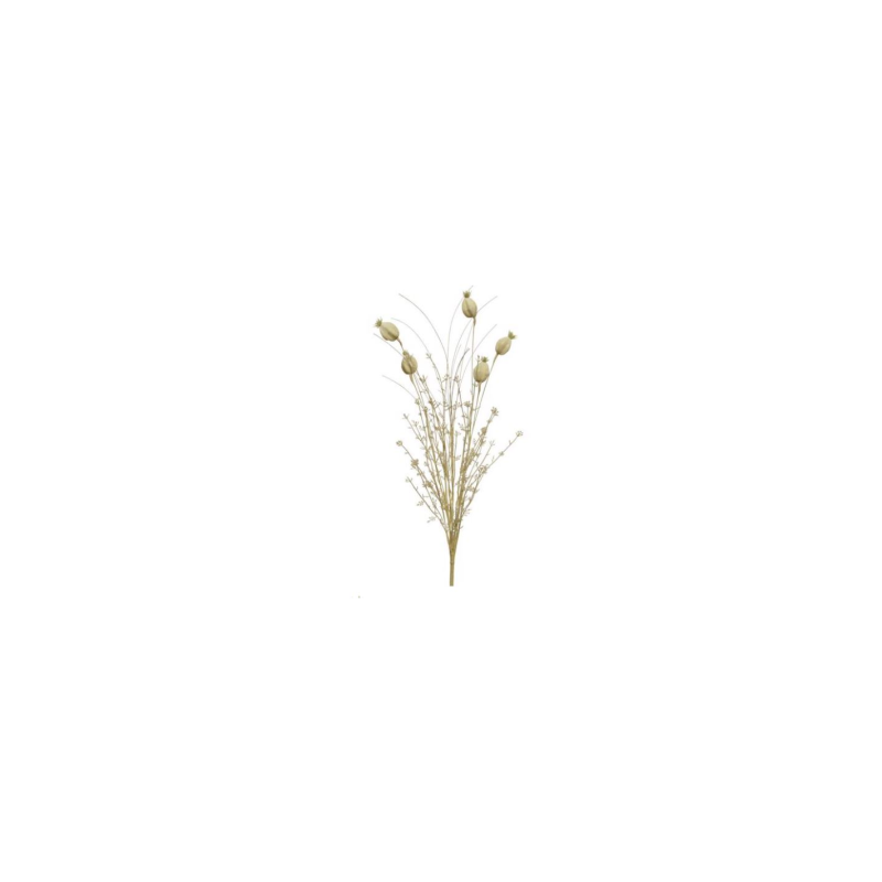 fleurs-sechees