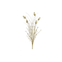 fleurs-sechees-3