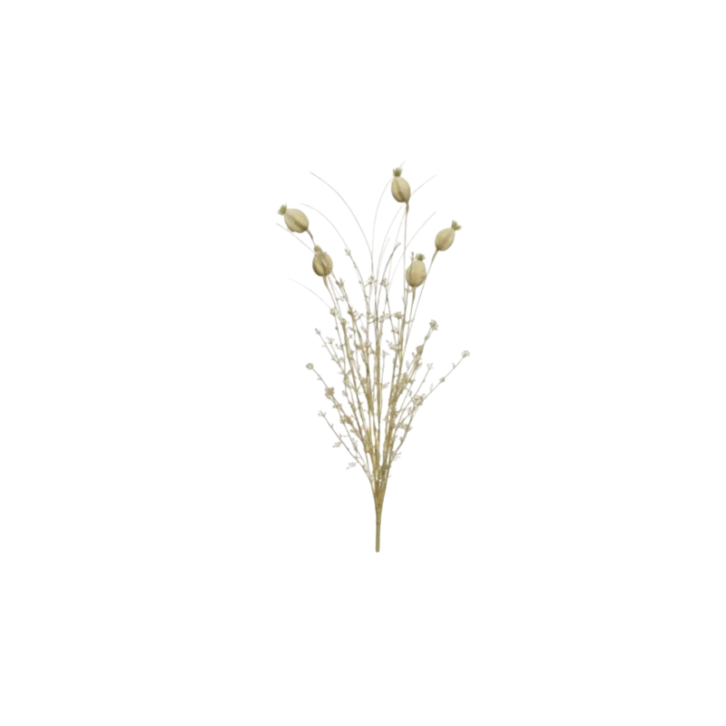fleurs-sechees-4