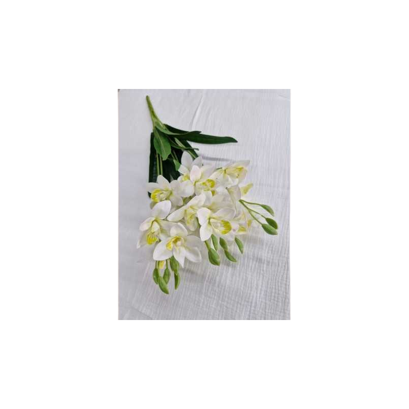 bouquet-d-orchidée-blanches