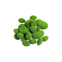 plantes-en-pot