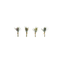 bouquets-4