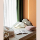 coussins-21261