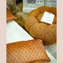 SF1019P238814.webp