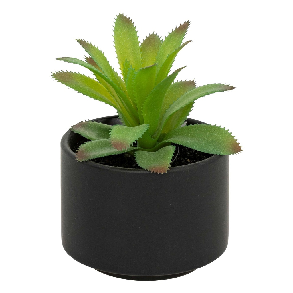 145000_DEB6