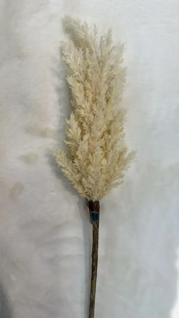 Herbe de la pampa plastique