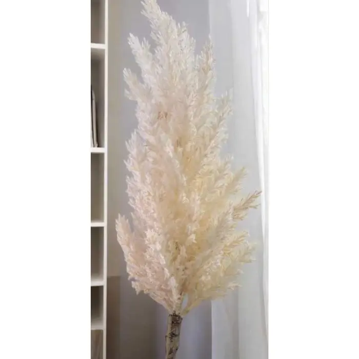 Herbe de la pampa plastique