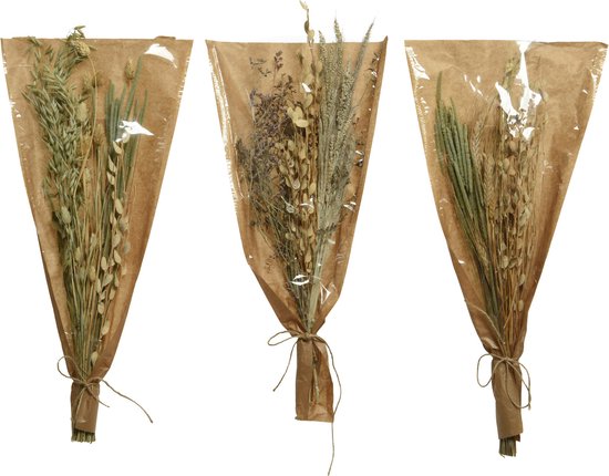 Bouquet fleur sechee détail naturel:bouquet