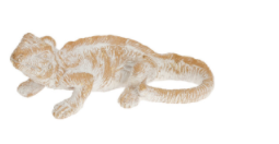 Animal de mer 14cm lezard
