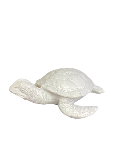 Animal de mer 14cm blanc tortue
