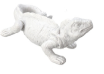 Animal de mer 14cm blanc lézard