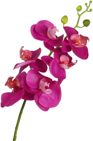  orchidée phalenopsis 82cms rosa