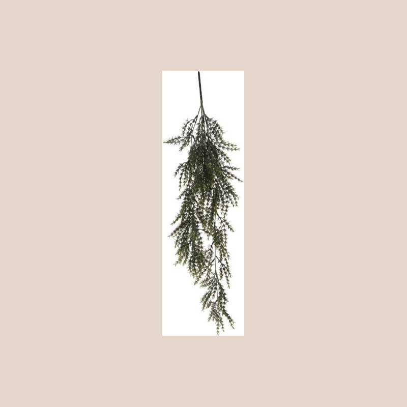 Plante pendantes 1