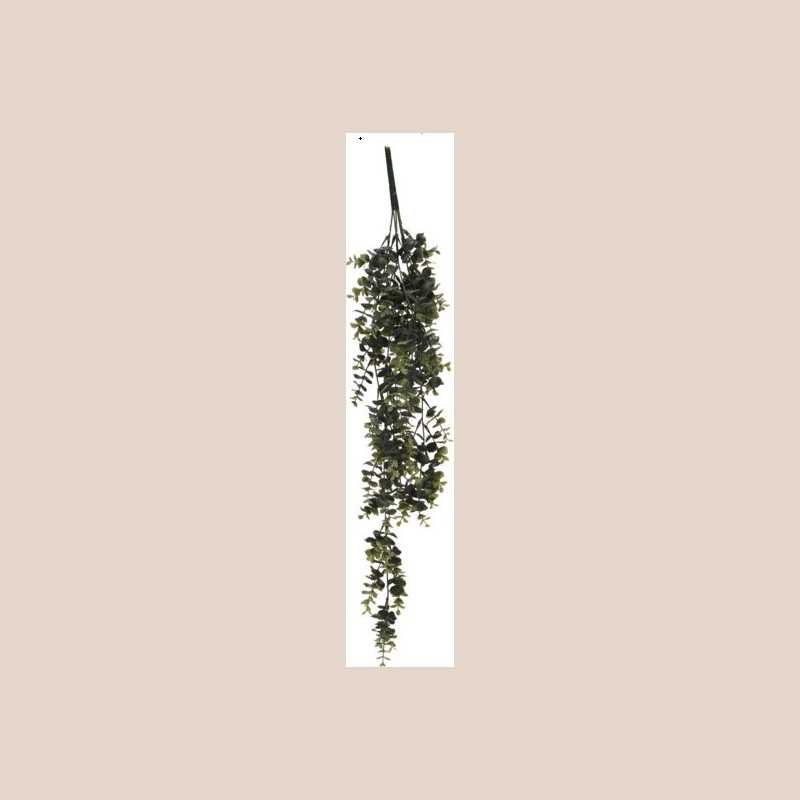 Plante pendantes 3