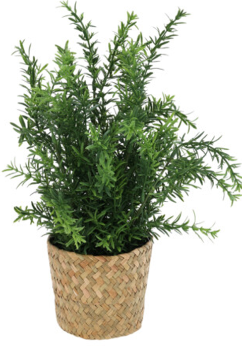 Deco plante artificielle 35cm - asparagus