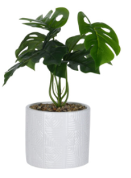 Plant art en pot 25cm - alocasia