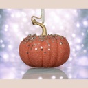 Citrouille mousse perles rocaille 