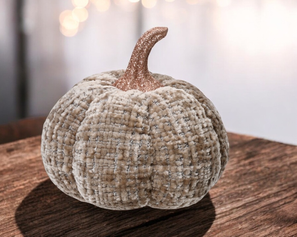 Citrouille marron beige