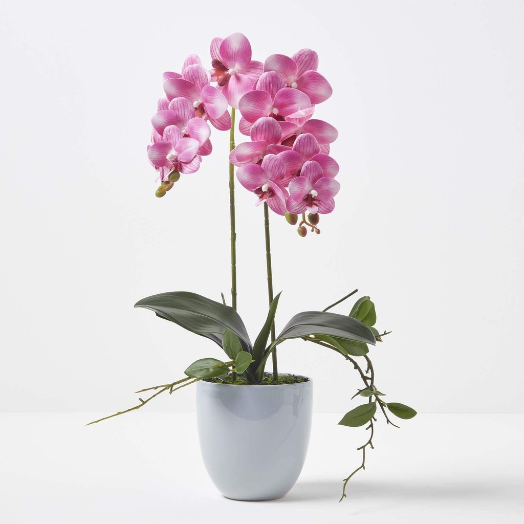 Orchidee pot de fleurs coniq blanc jumbo