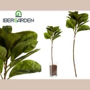 Branche feuilles verts pointe