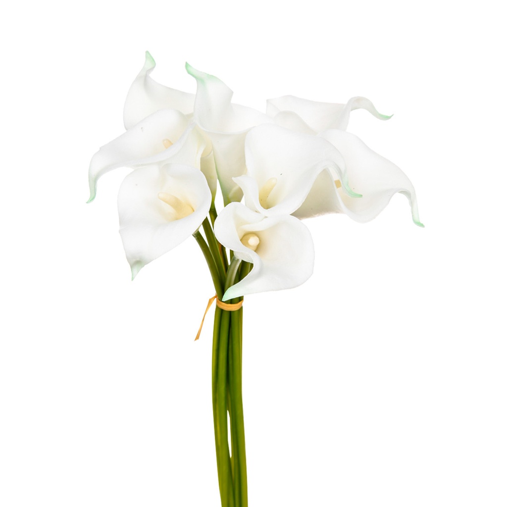 Bouquet 8 arum blanc h36