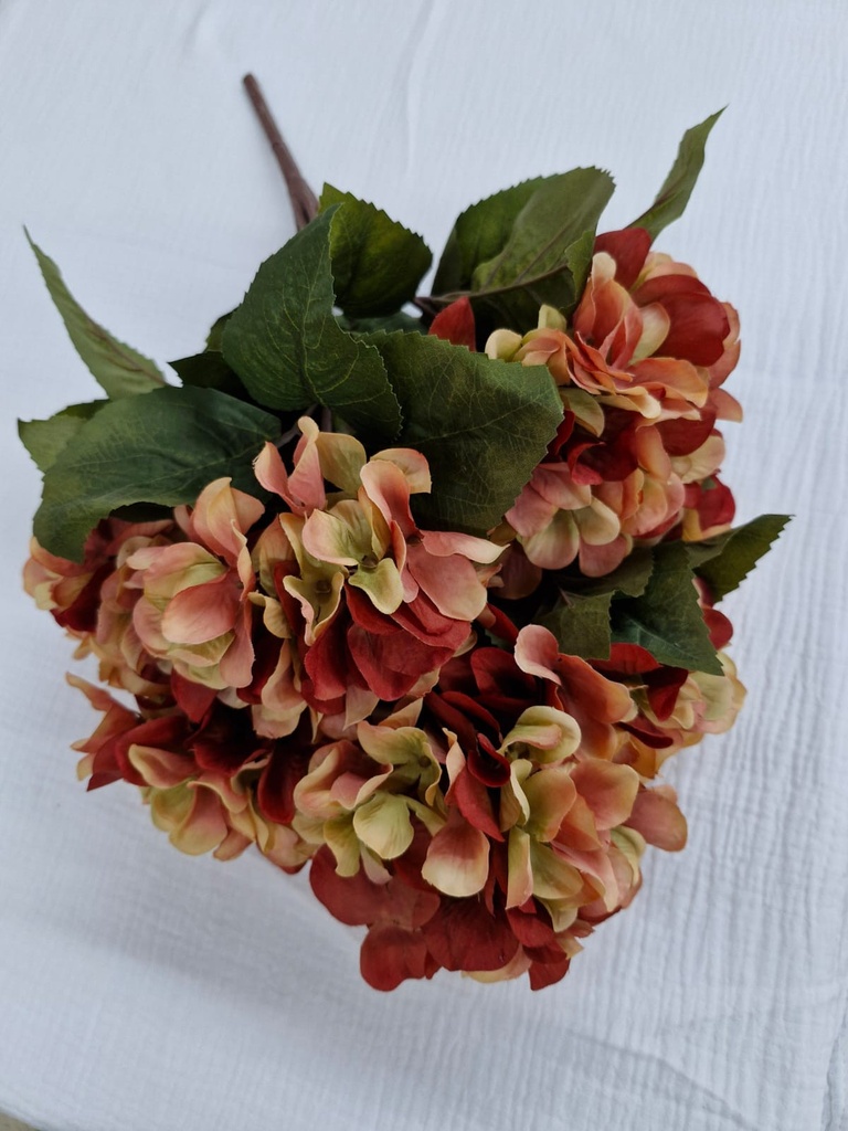 Bouquet mata hydrangea x 7 54 cms siena