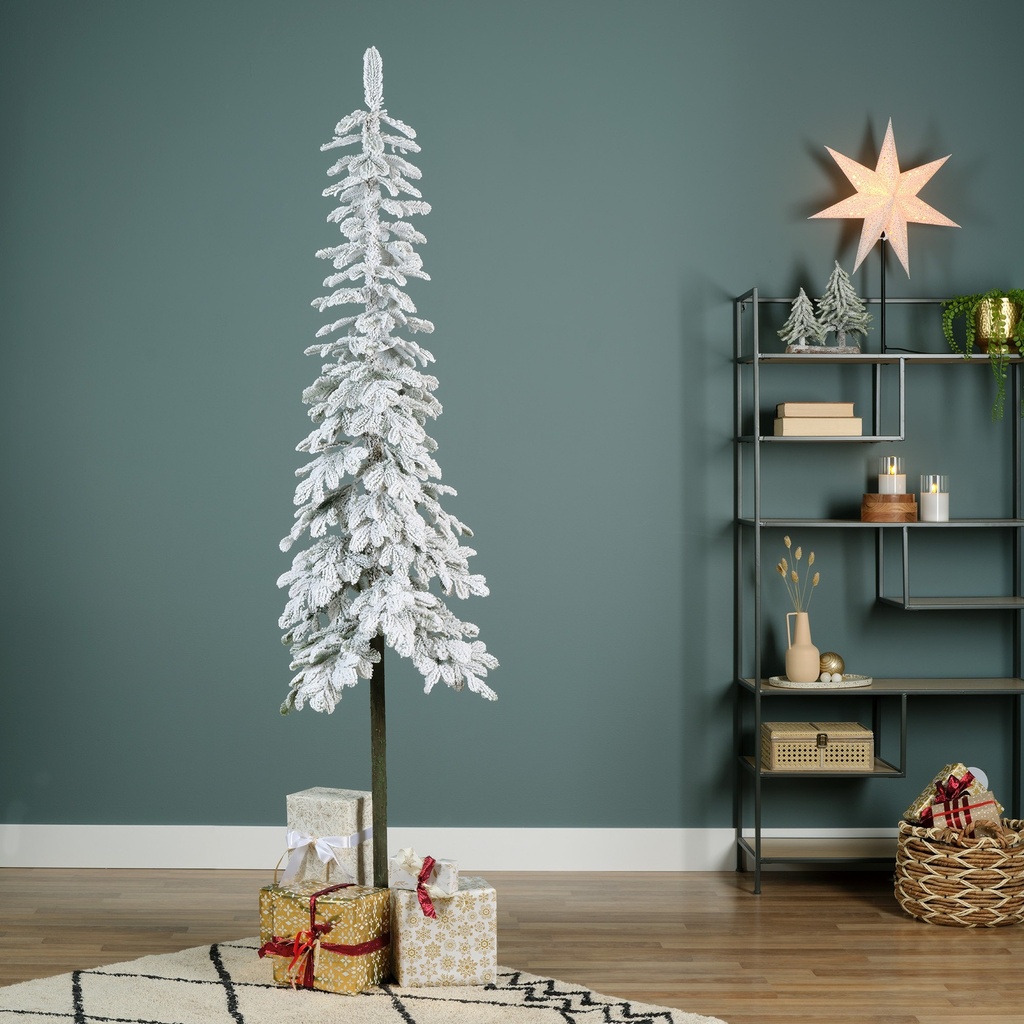 Alpine sapin enneige 3m 