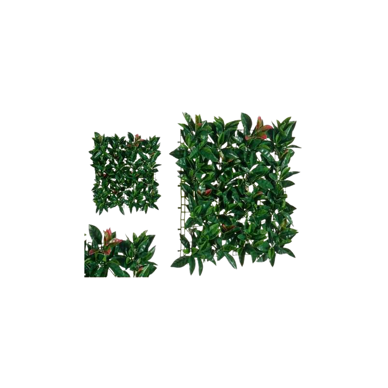 Jardin vertical 50x50cm feuille large