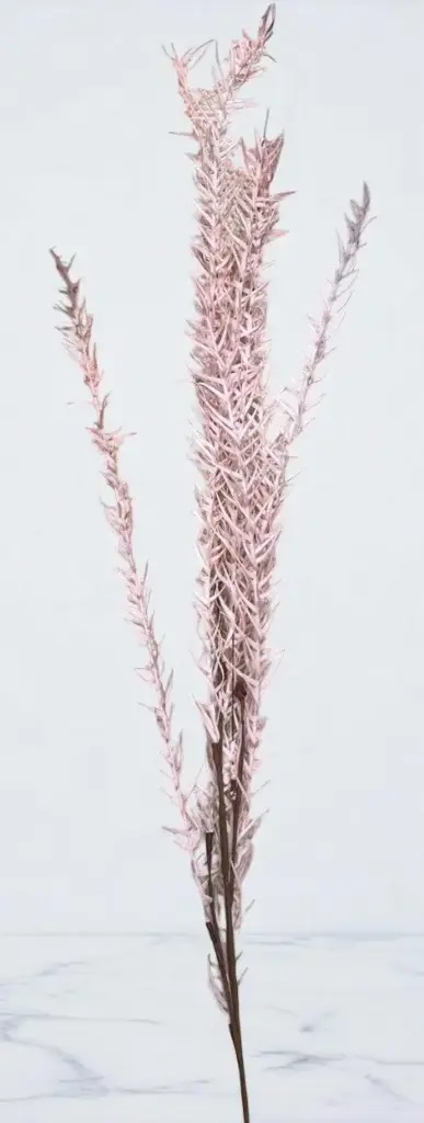 colgante araignée mousse rose