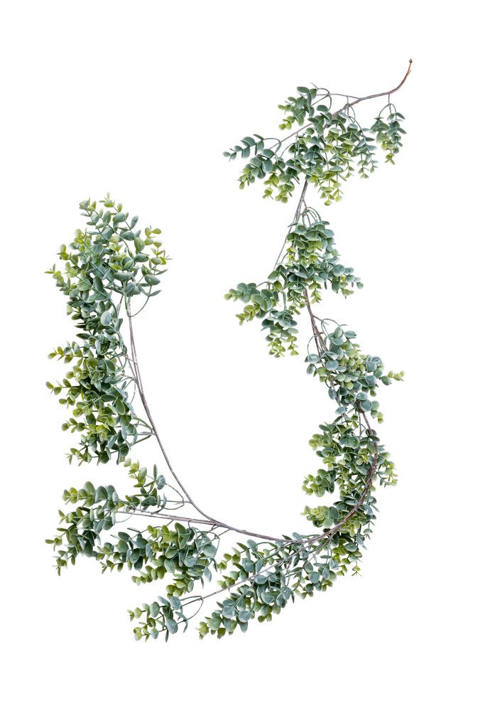 Guirlande d'eucalyptus garnie degra de de verts 1.70m