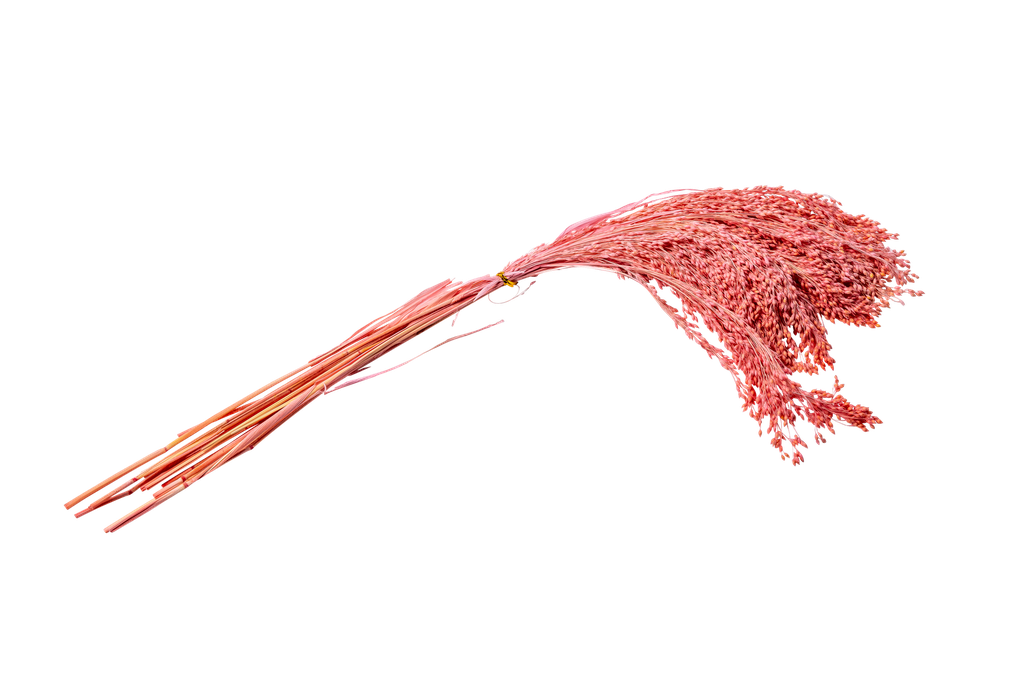 Fontaine d'herbes sechees roses env 75gr 60cm