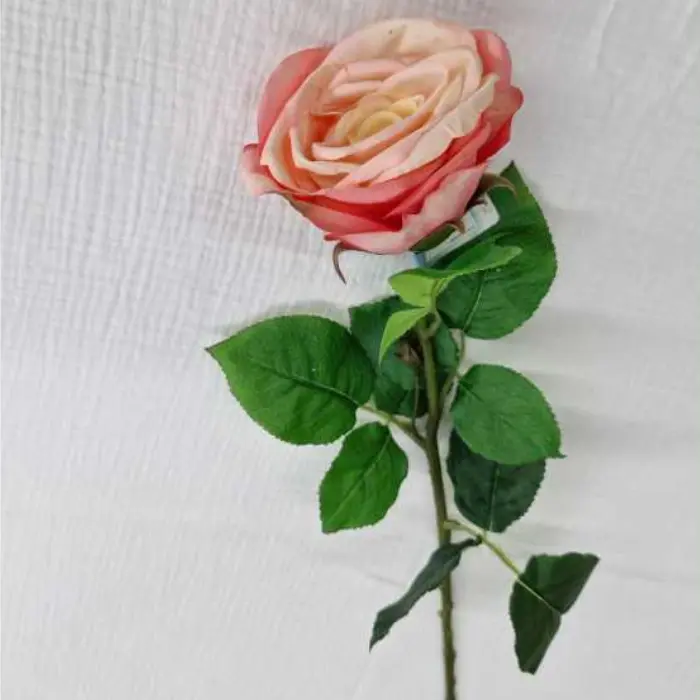 Rose polyester