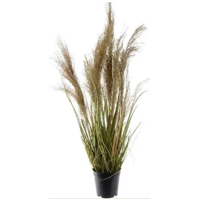 Herbe plastique