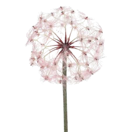 Fleur pissenlit plastique 