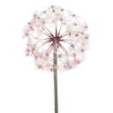 Fleur pissenlit plastique 