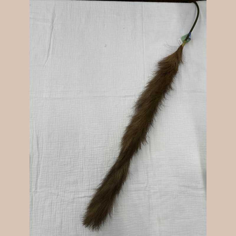 Herbe de la pampa polyester-marron