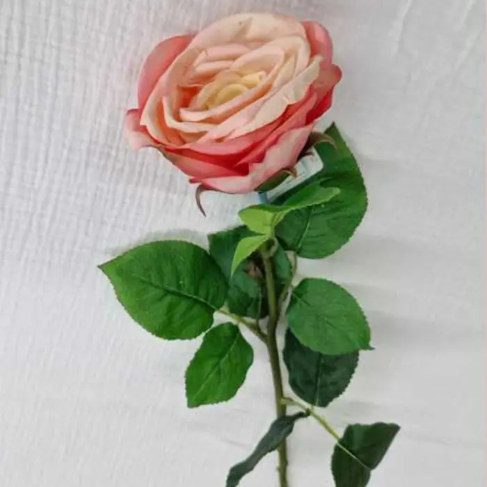 Rose polyester